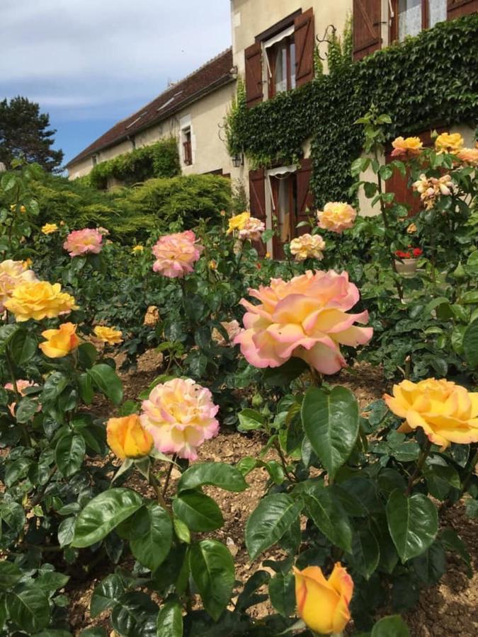 Bed and Breakfast Entre Canal Et Vignes Escolives-Sainte-Camille Exterior foto
